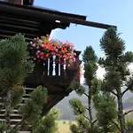 Гостевой дом & Ronacherhof -mountain Hideaway Slopeside