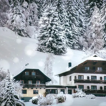 Konukevi & Ronacherhof - Kaernten Card Sommer 2025 Inklusive! 3*