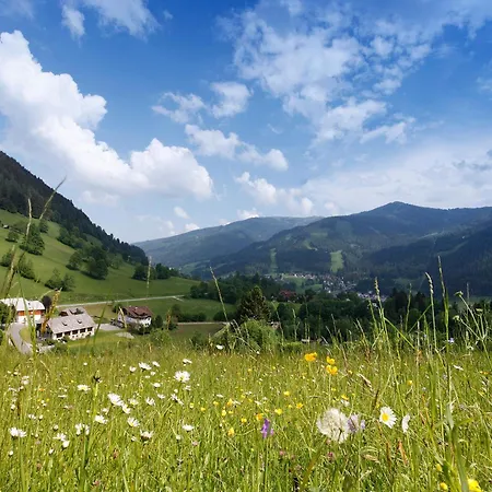 & Ronacherhof -mountain Hideaway Slopeside Gæstehus