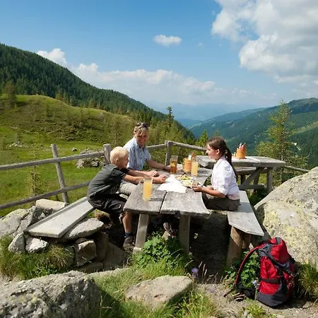 Pension&appartements Ronacherhof Gasthof 3*