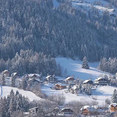 Pension&appartements Ronacherhof Gasthof