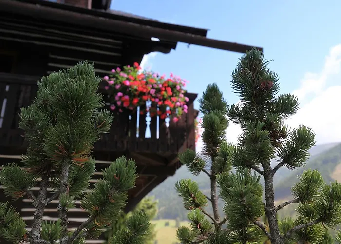 Guest house & Ronacherhof -mountain Hideaway Slopeside