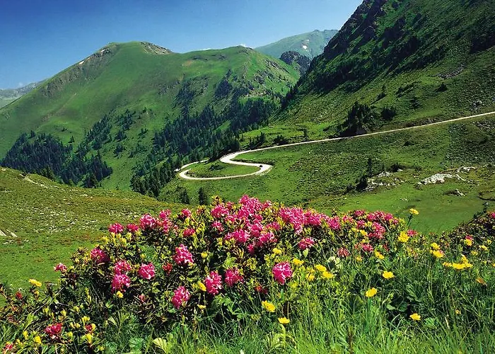 & Ronacherhof -mountain Hideaway Slopeside Pensjonat